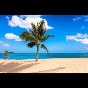 Meet your Posher, Dimitri